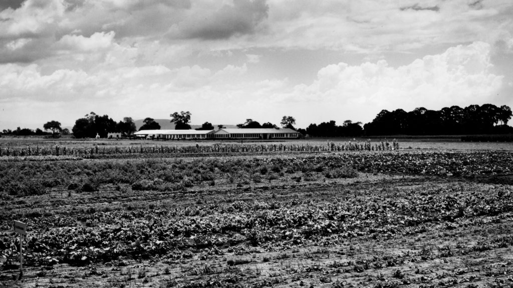 Black and white image of a field in Mexico used for soil research.