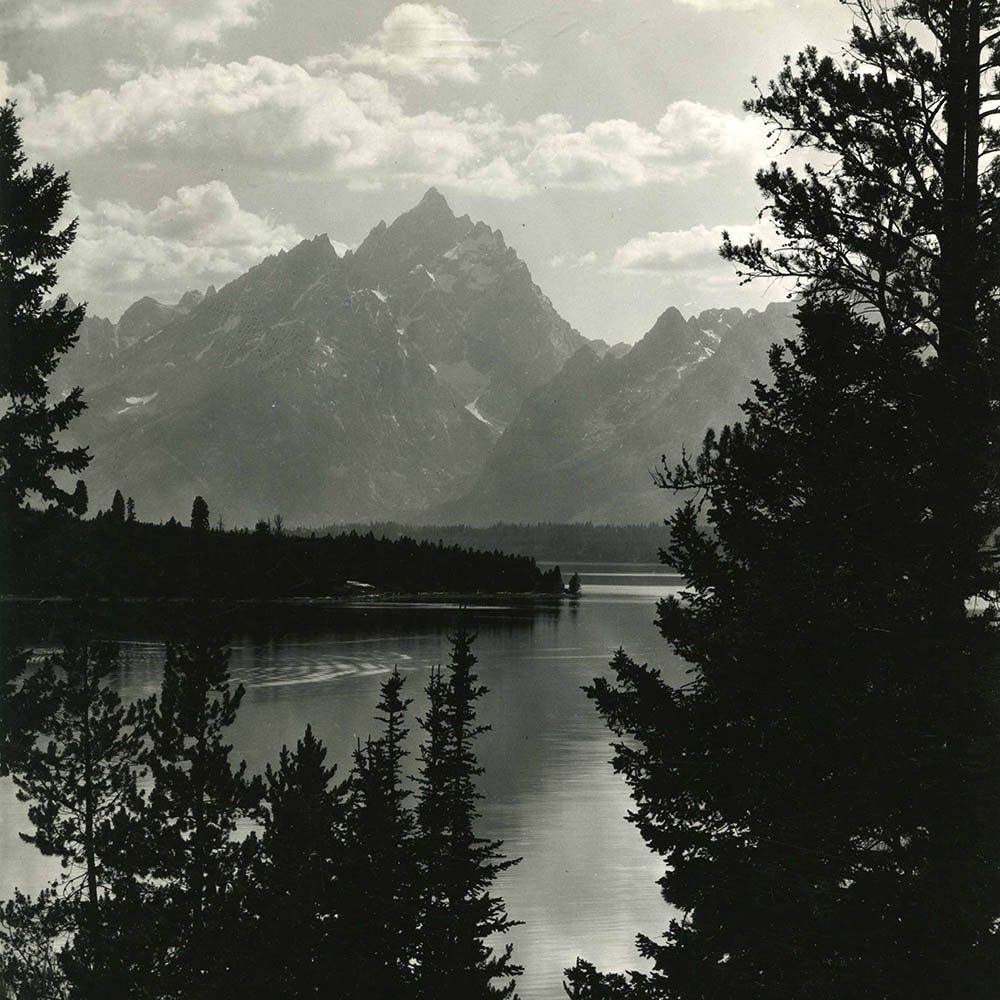 An image of the Teton Mountain rage. The composition is black-and-white, framed by large trees. Beyond them are the obscured mountains in the distance hovering above Jackson lake.