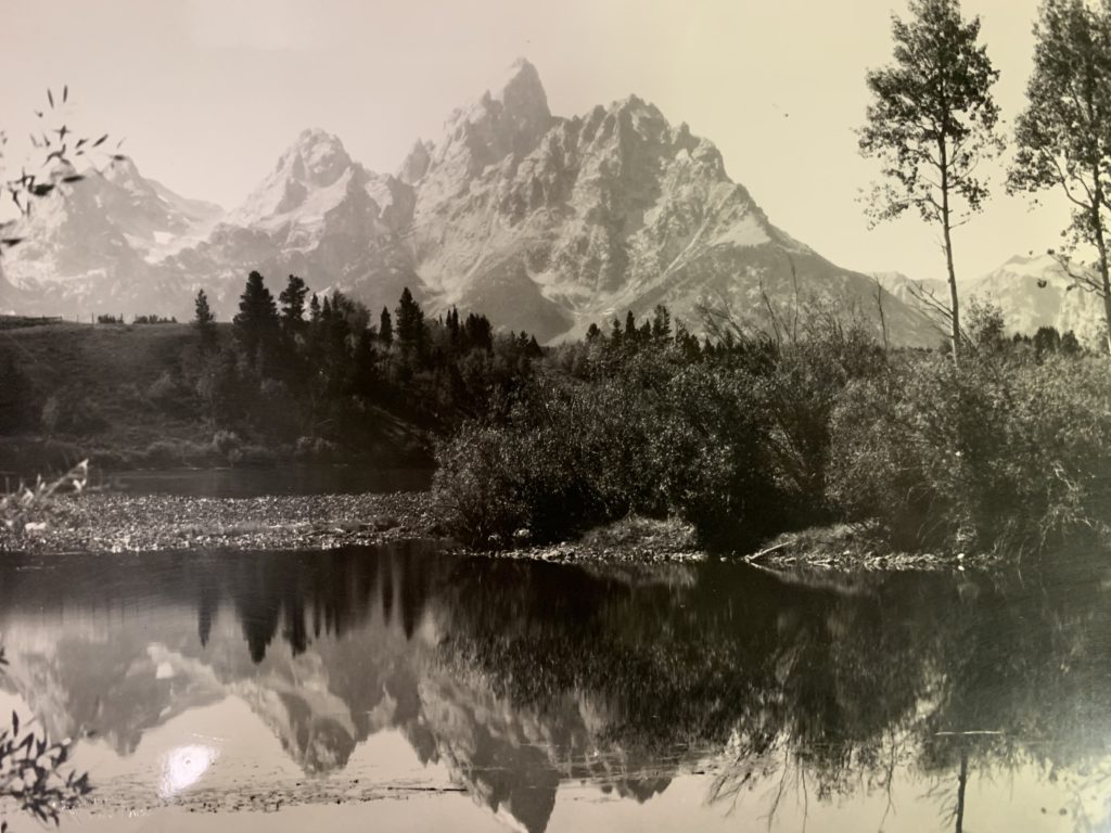A sepia-toned photograph of the Grand Teton National Park. The mountains in the distance hover above the trees which are reflected onto the lake.