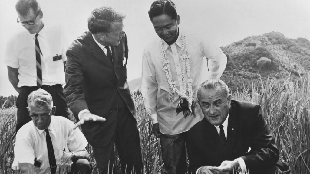 Black and white photo of U.S. President Lyndon Johnson with Philippine President Ferdinand Marcos examining grains of rice.