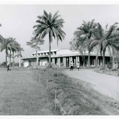 Photo of crop-drying site in Nigeria. The one story building is located under palm trees.