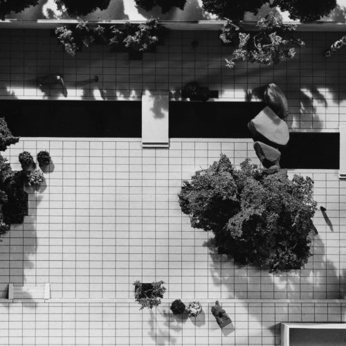 Black and white photo of the sculpture garden within the MoMa.