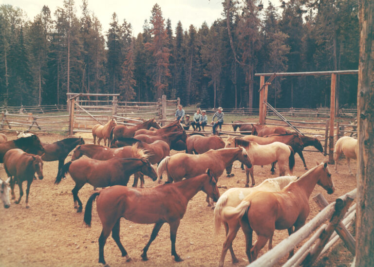 Laurance Spelman Rockefeller Corral_Display - REsource