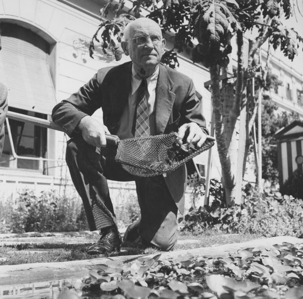 C.H. Barlow holding his specially-designed net